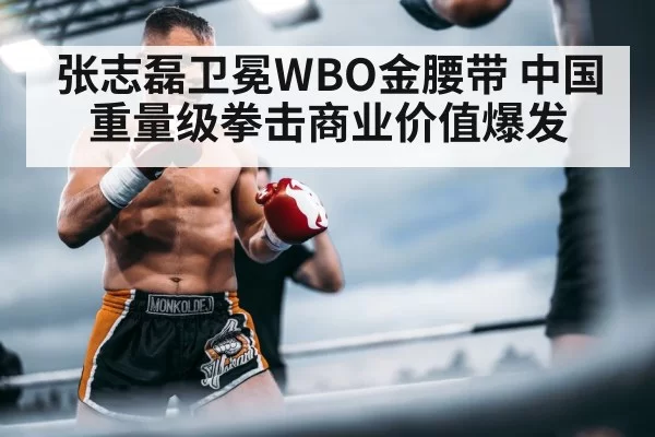 张志磊卫冕WBO金腰带 中国重量级拳击商业价值爆发